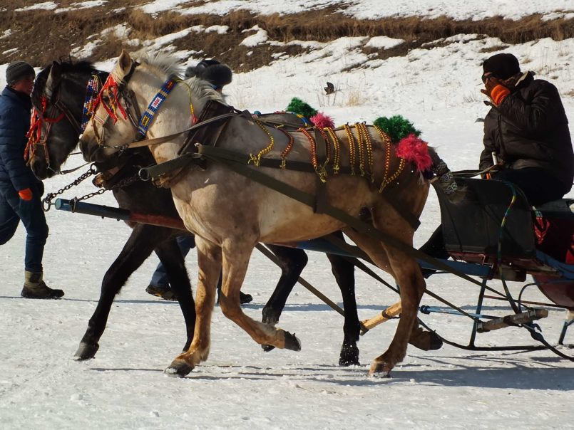 Çıldır Gölü'nün Kızakları