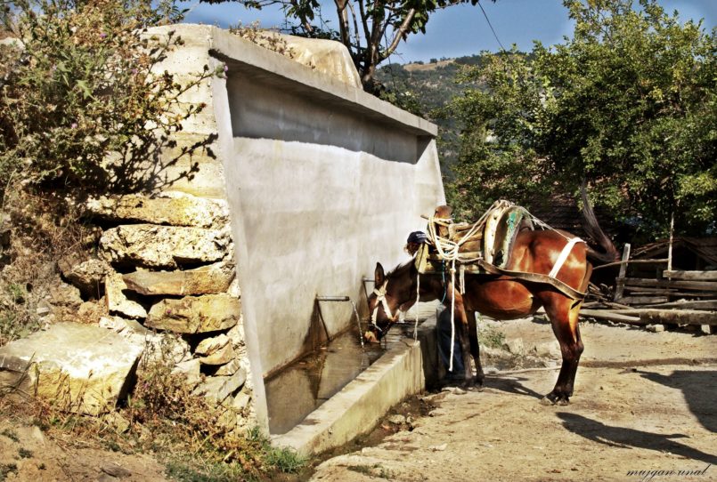 Akalan Köyü