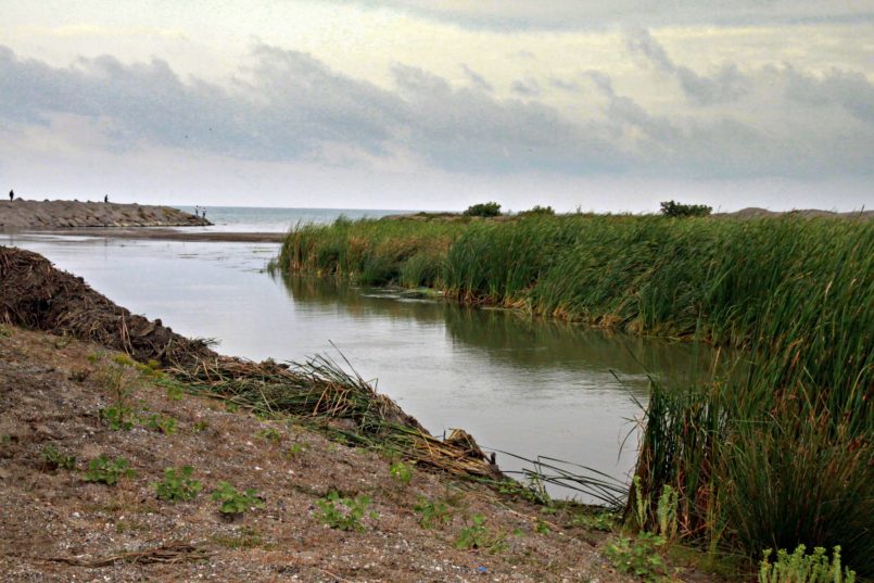 Liman Gölü'nün Karadeniz'e Oluşturduğu Dil