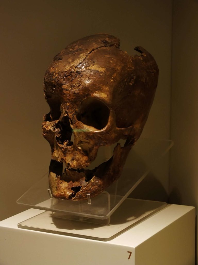 Anadolu Medeniyetleri Müzesi Kral Midas'ın Kafatası