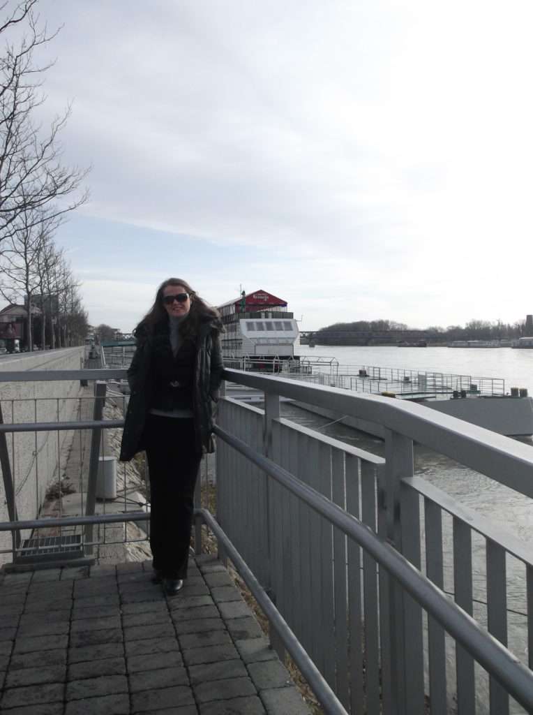Kışın Bratislava Tuna Nehri