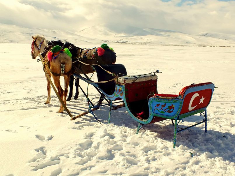 Kars Gezisi Çıldır Gölü