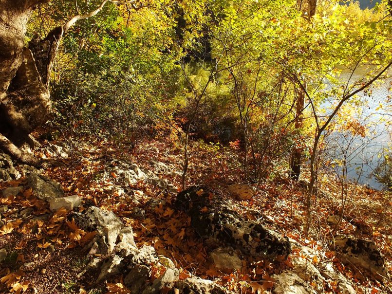 Yürüyüş Yolu