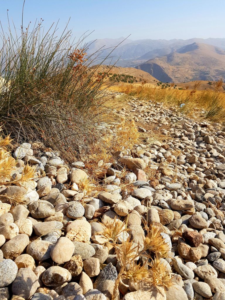 Nemrut Dağı