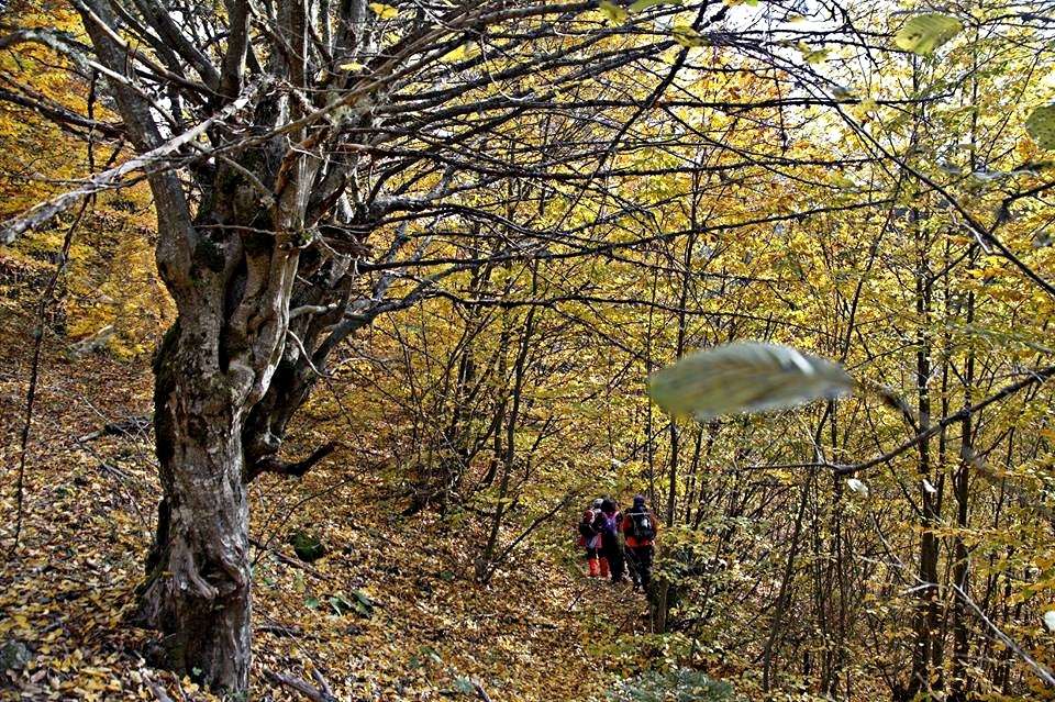 Kastamonu Daday'dan Dağlara Doğru