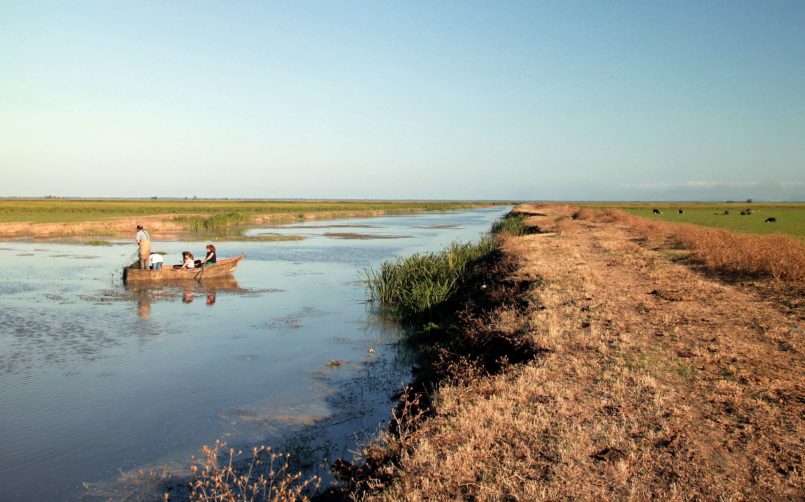 Kızılırmak Deltası Su Kanalları
