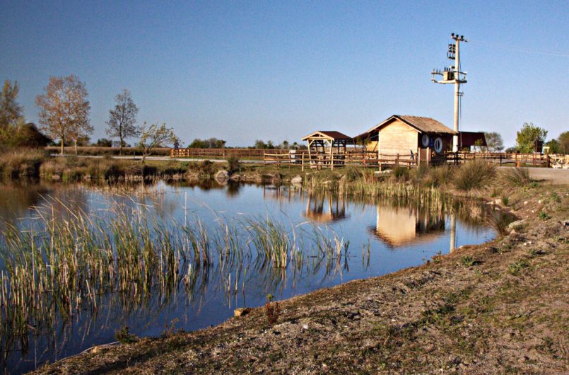 Ulugöl'den Gelen Kanal Kızılırmak Deltası