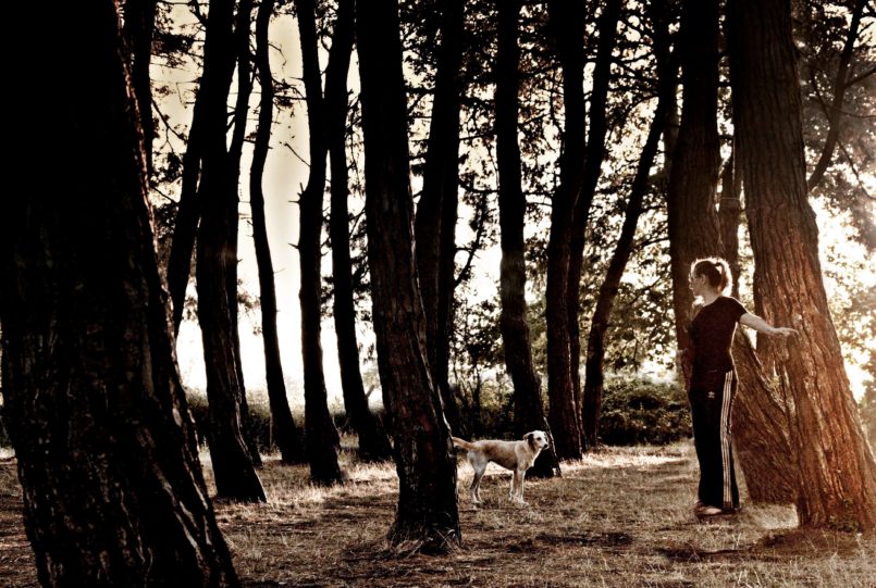 Kızılırmak Kenarı Çamlık