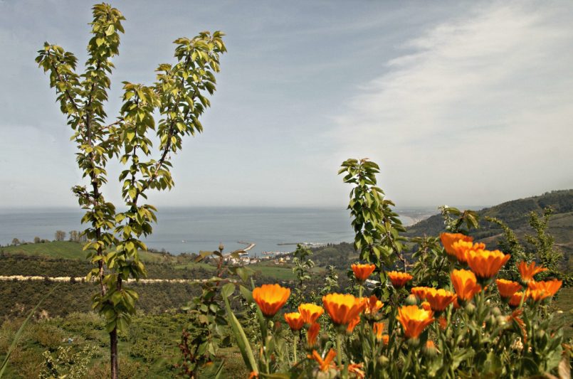 Küplüağzı Köyü