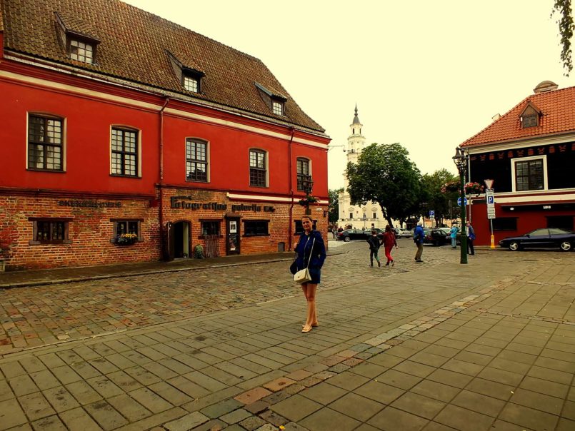 Vilnius Caddesi (Vilnius Gatve)