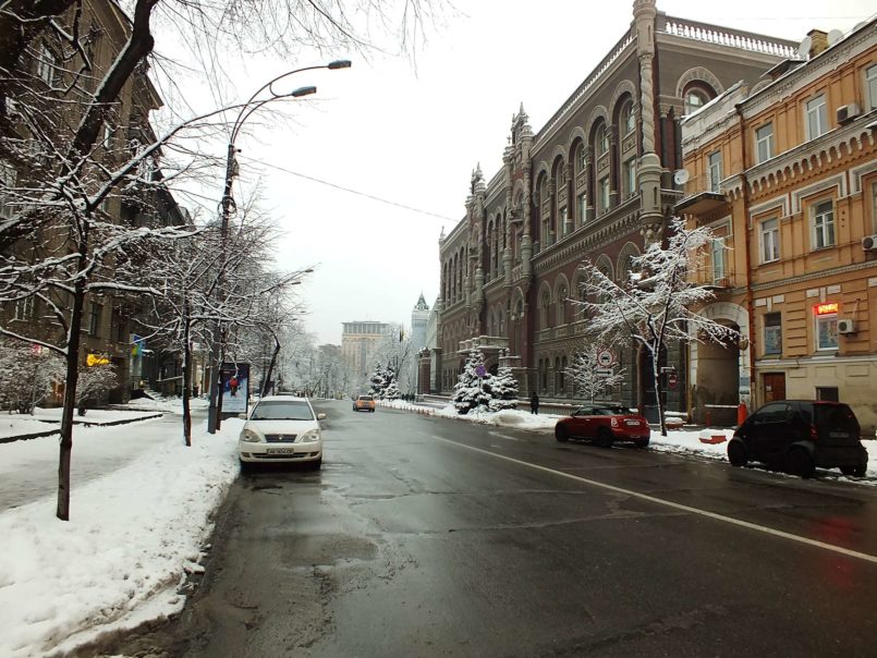 Mykhaila Hrushevskoho Caddesi