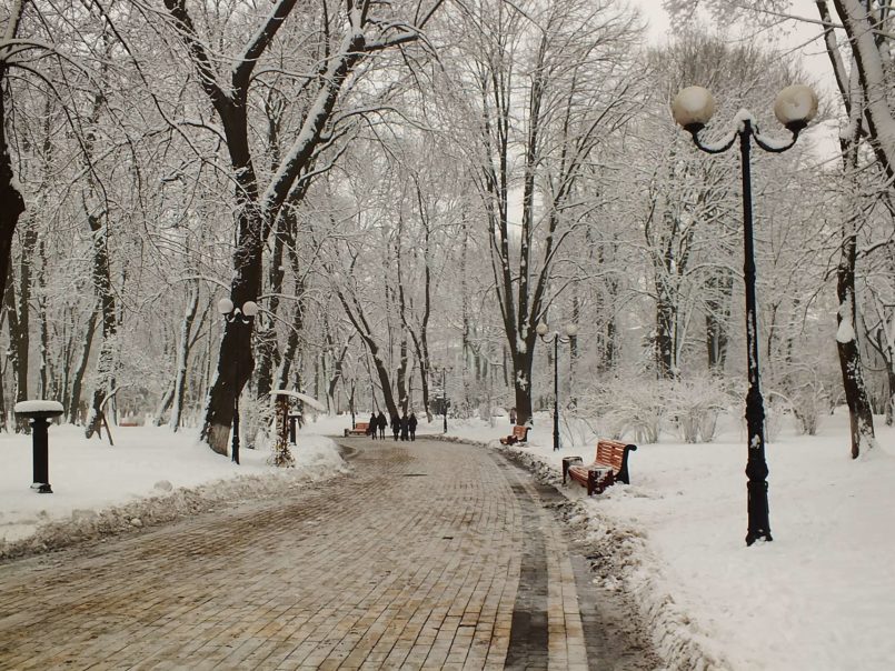 Mariinskiy Parkı