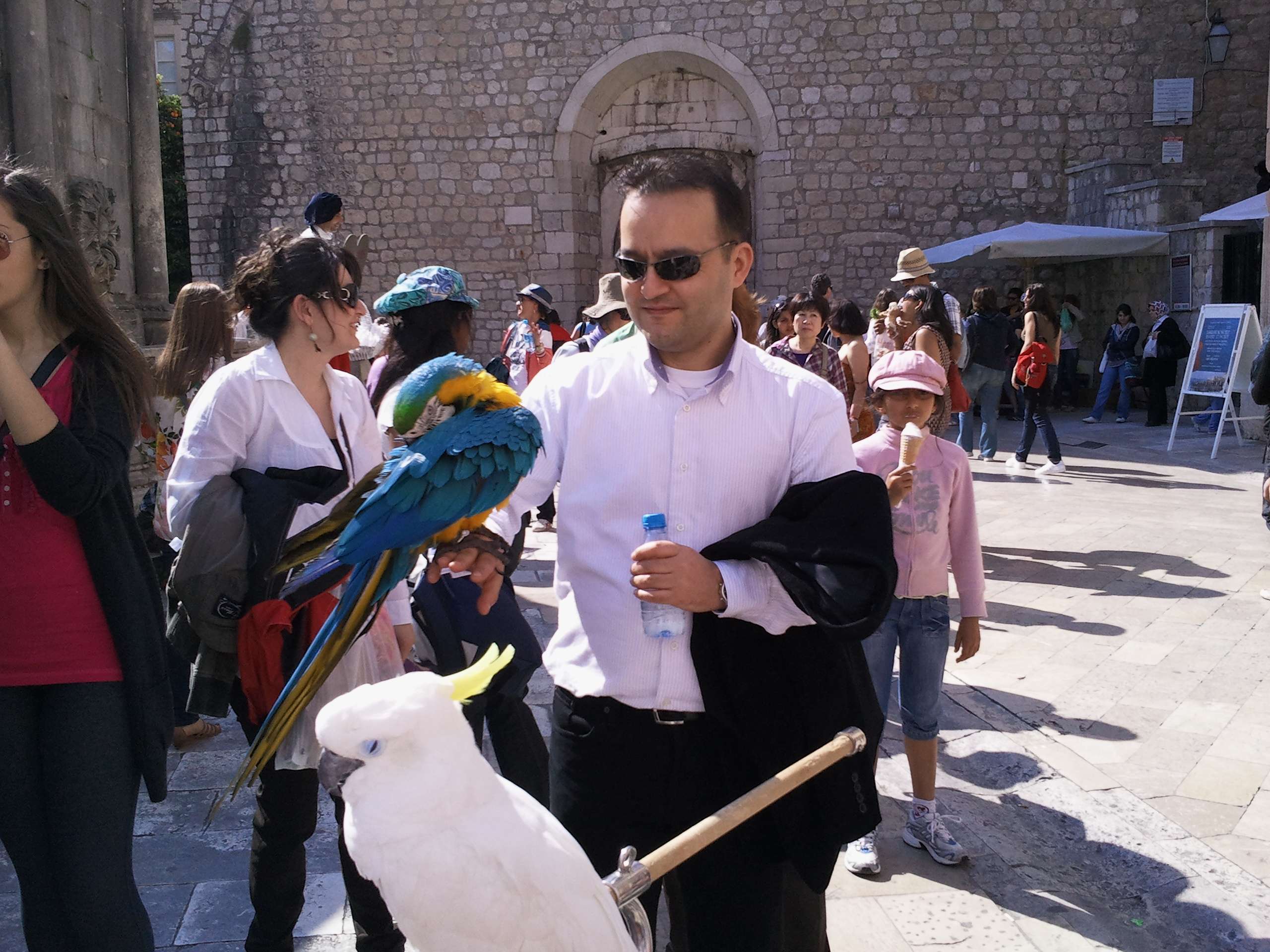 Dubrovnik Old Town İçinde Papağan Gösterisi