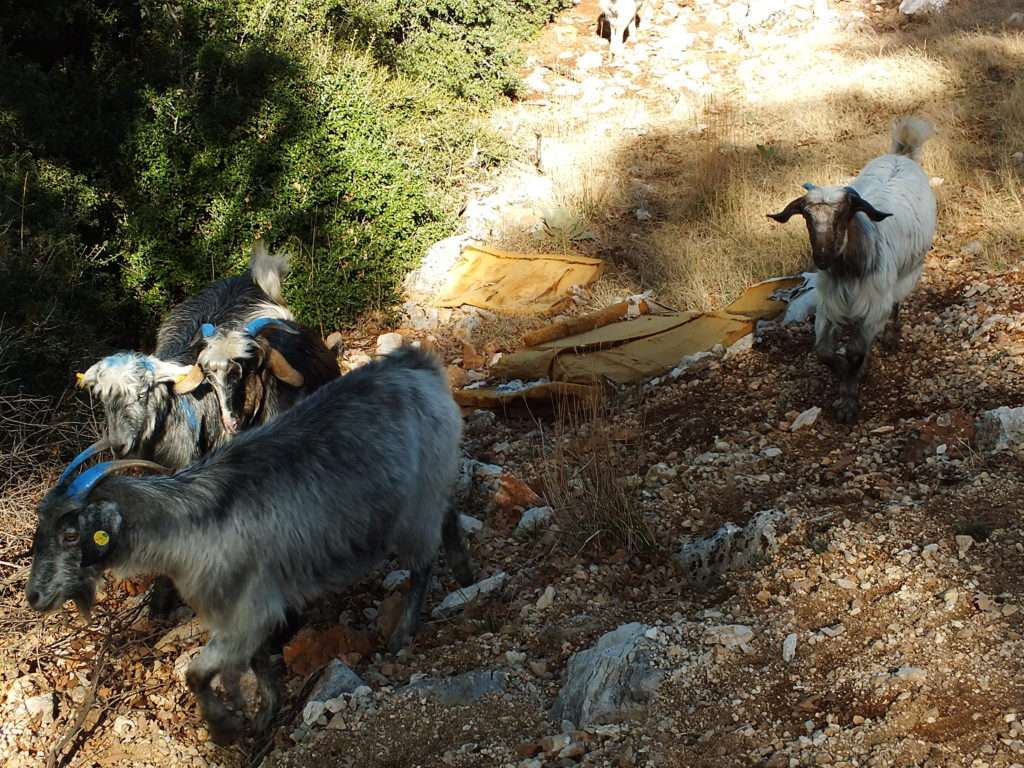 Yolda Karşılaştığımız Bir Sürü