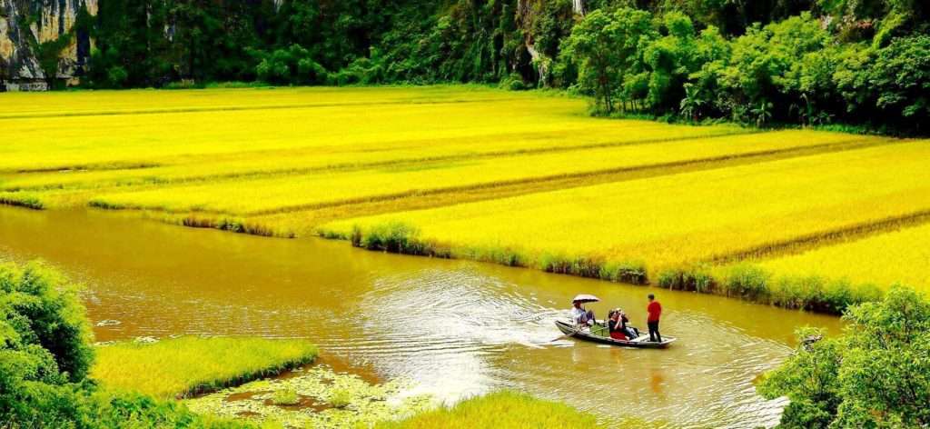 Ride along Ngo Dong River