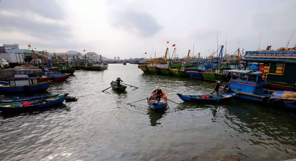 Quy Nhon Fisherman's Port
