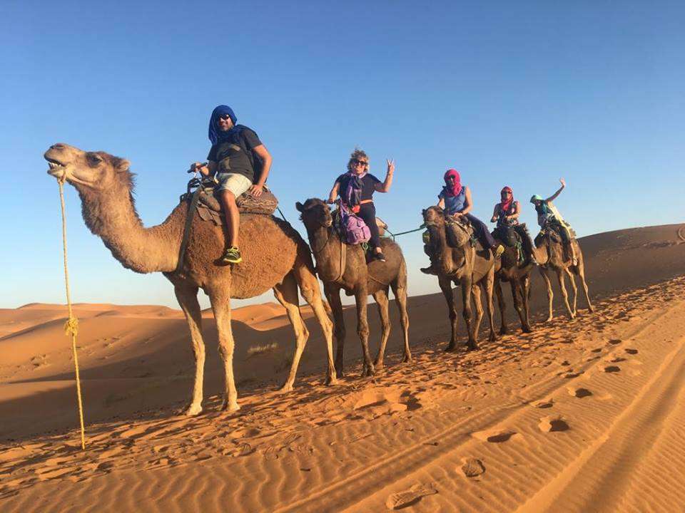 Camel Ride in Sahara