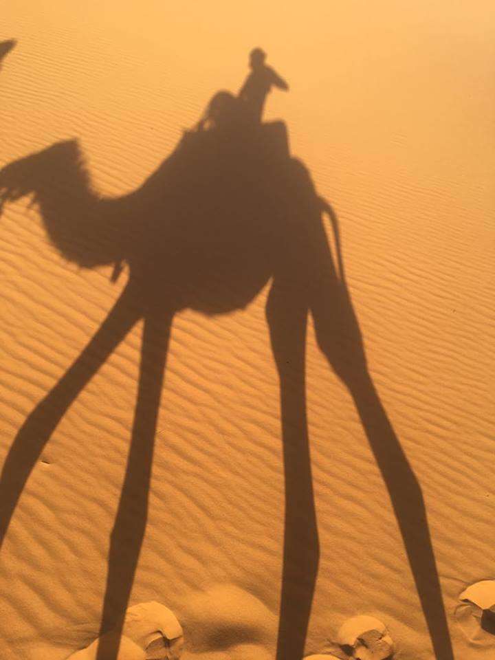 Camel ride to Desert Camp