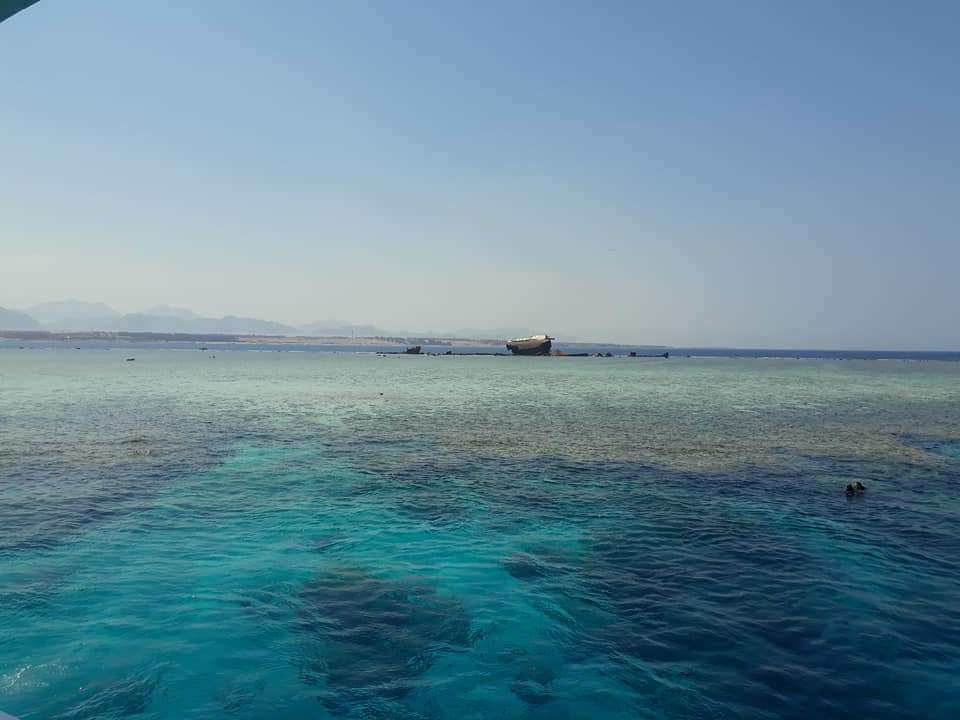 Tiran Island Reefs