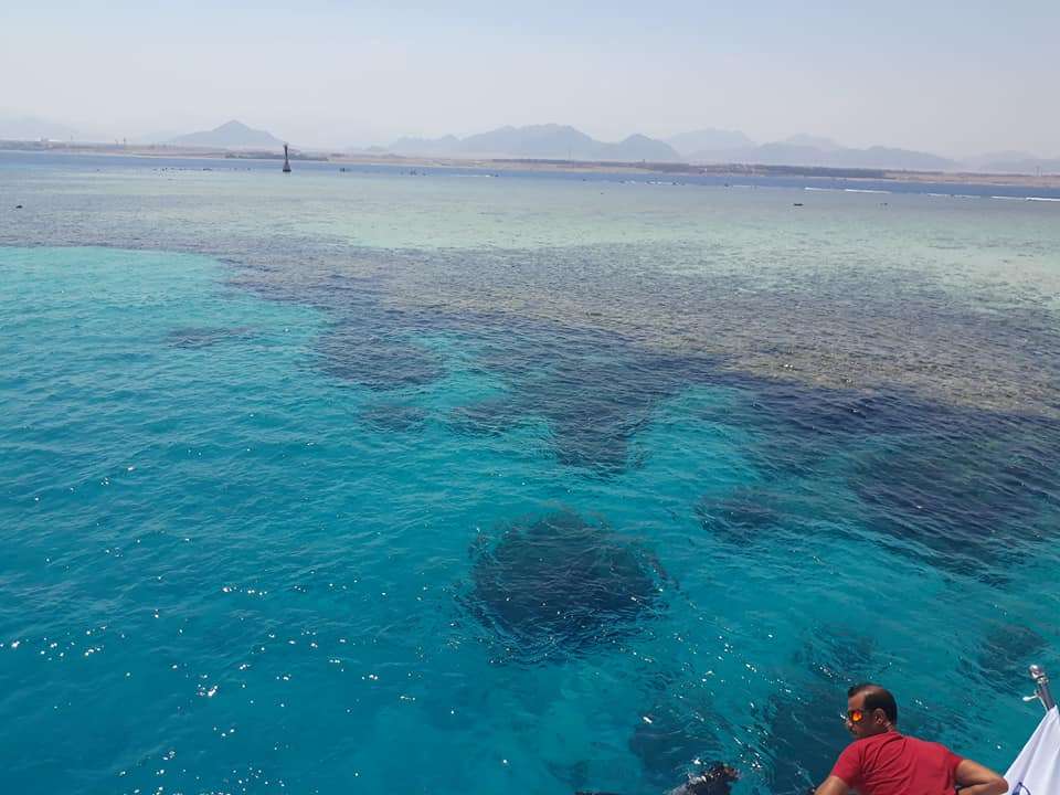Tiran Island Reefs