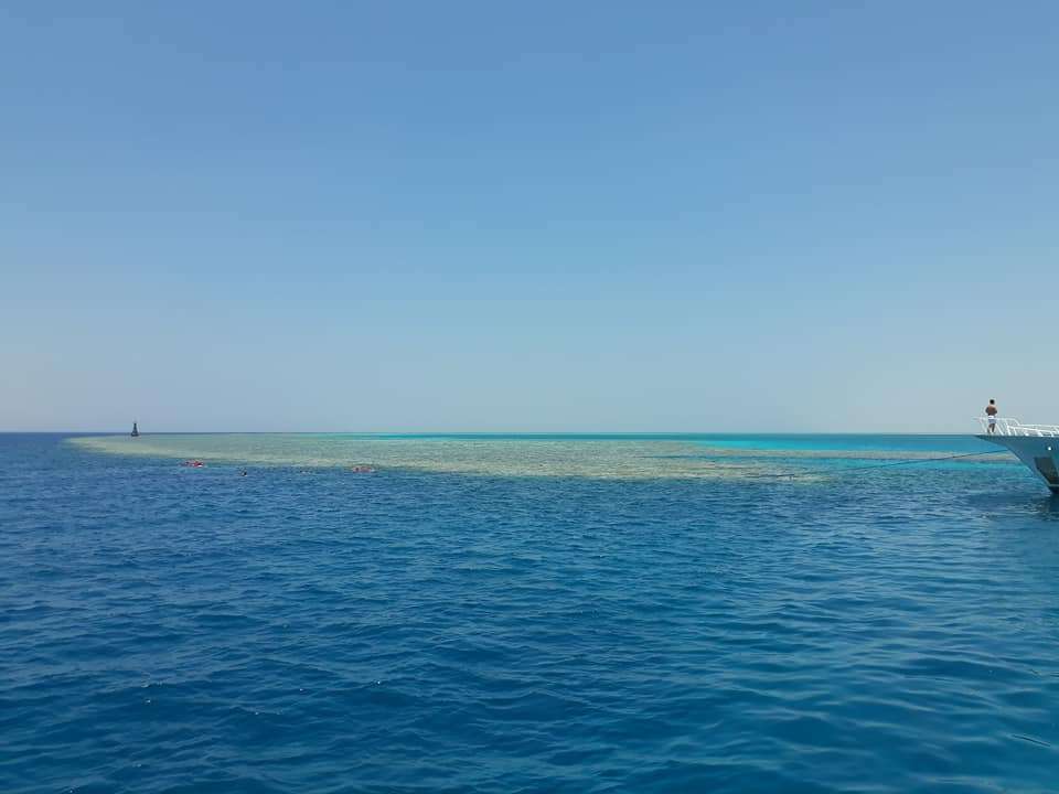 Tiran Island Reefs
