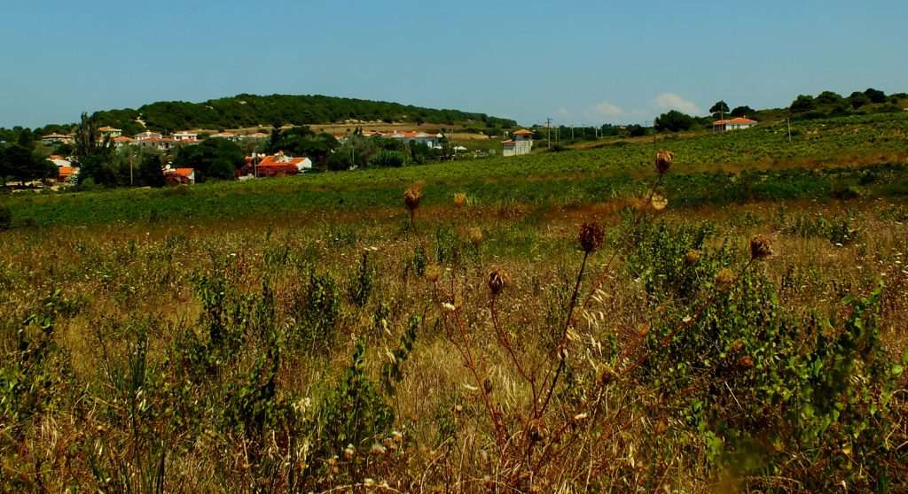 Bozcaada Gezisi Sulubahçe Bağ Yolu