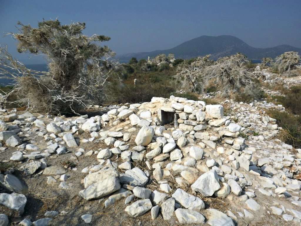 Menet Ada ve Kuş Yuvaları