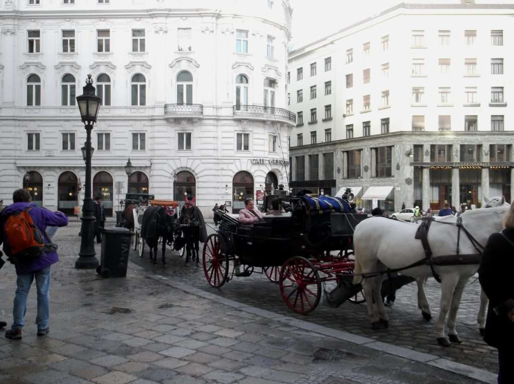 Hofburg İmparatorluk Sarayı (Hofburg Wien) Fiaker At Arabaları