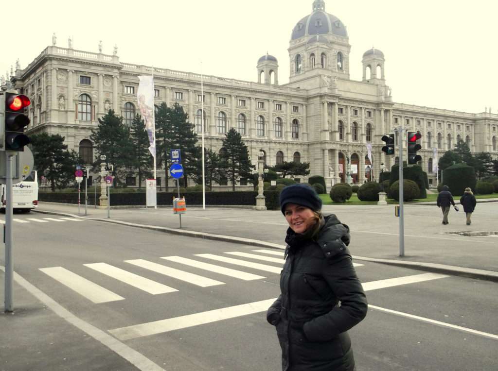 Viyana Ulusal Tarih Müzesi (Naturhistorisches Museum Wien)