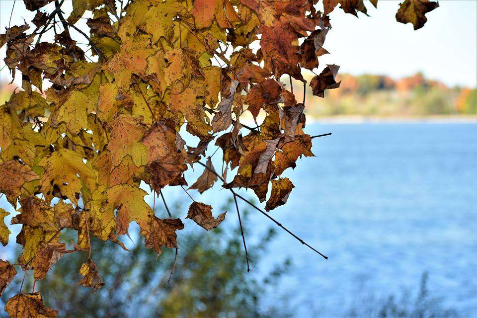 Freeman Lake, Elizabethtown, Autumn in Kentucky