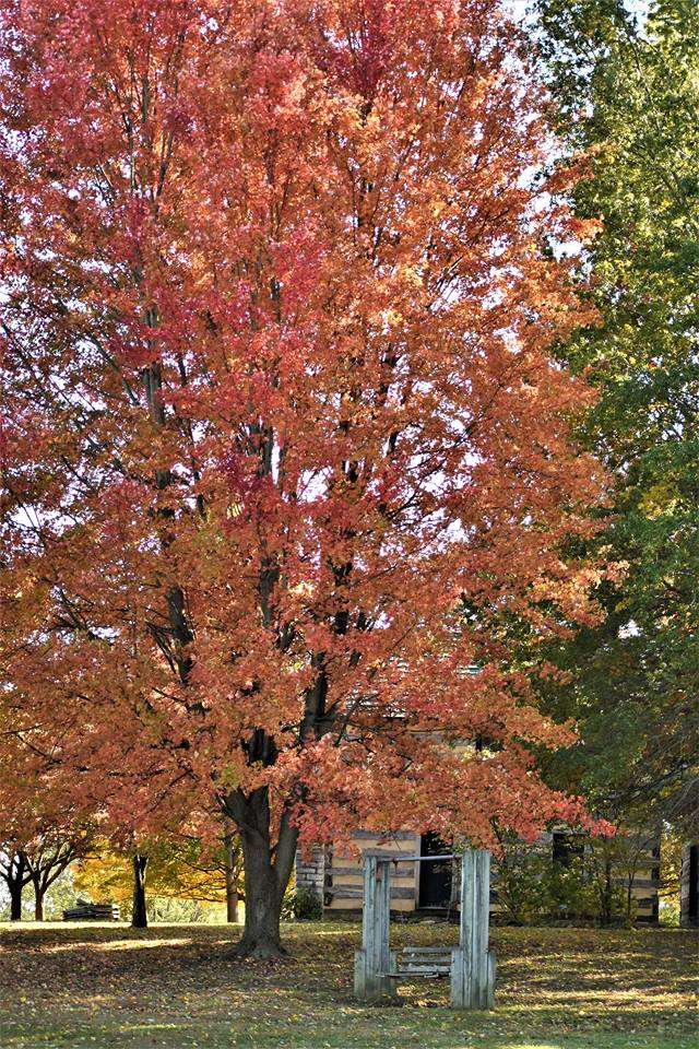 Autumn in Kentucky