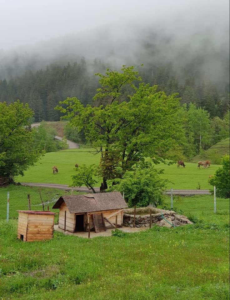 Şavşat Gezisi Kocabey Köyü