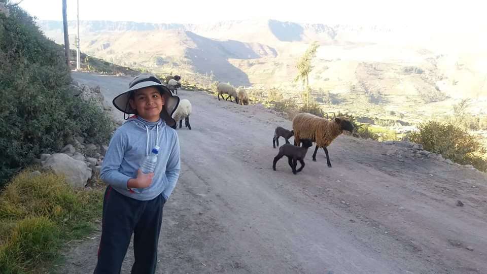 Caminando por los senderos