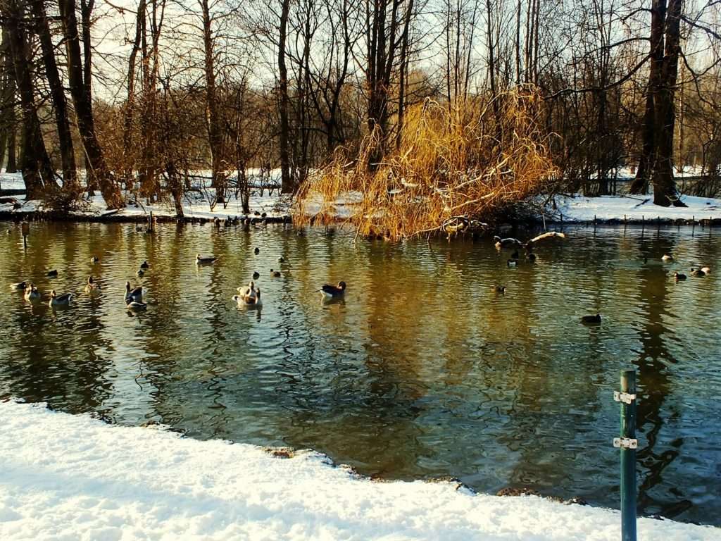 İngiliz Bahçesi (Englisher Garten)