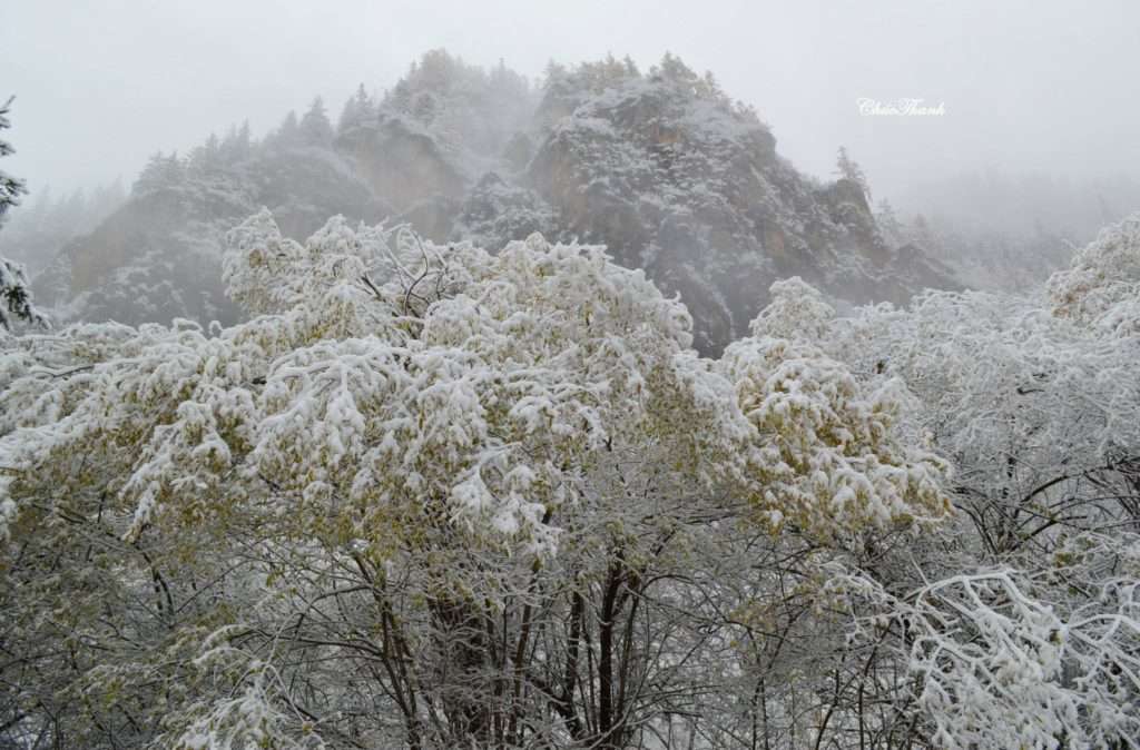 A Snow Scene in Park