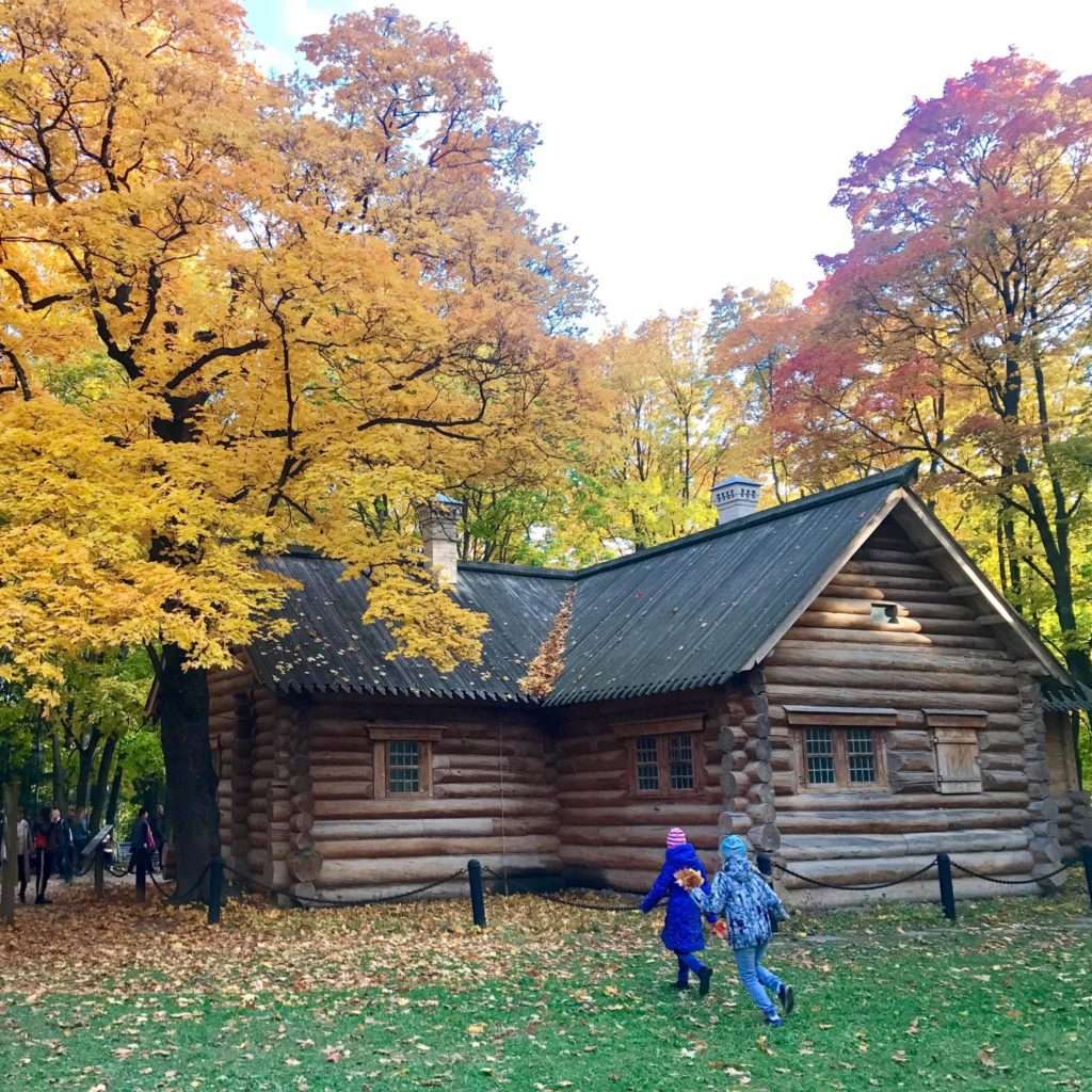 Wooden Village House