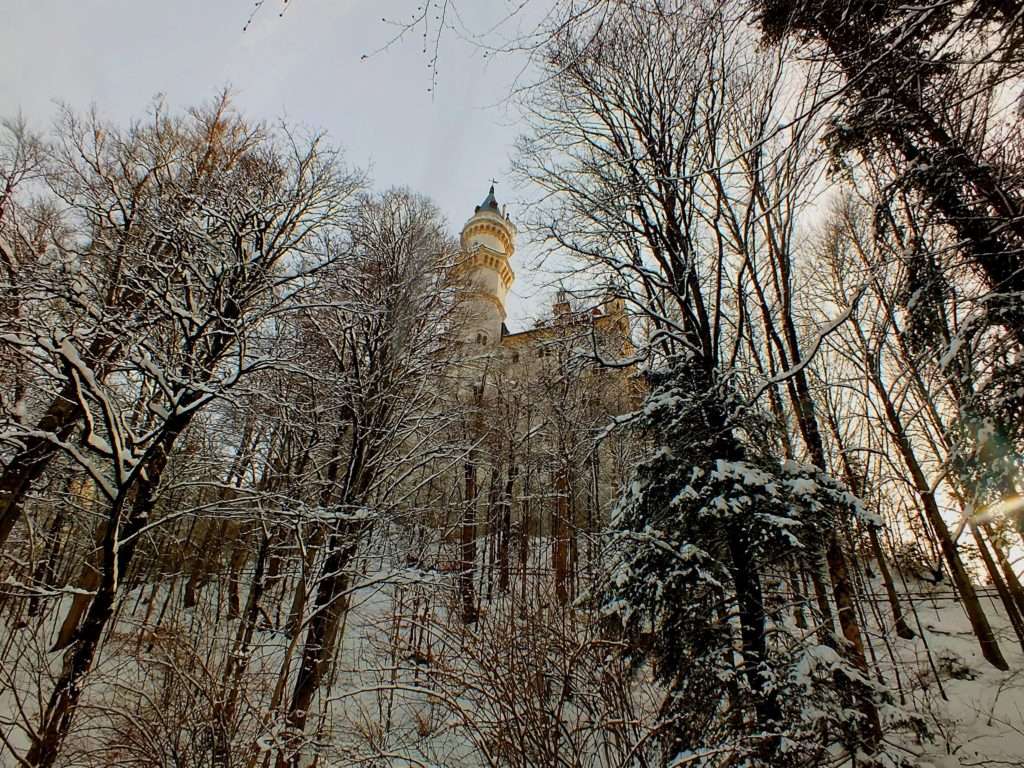 Neuschwanstein Şatosu (Schloss Neuschwanstein)