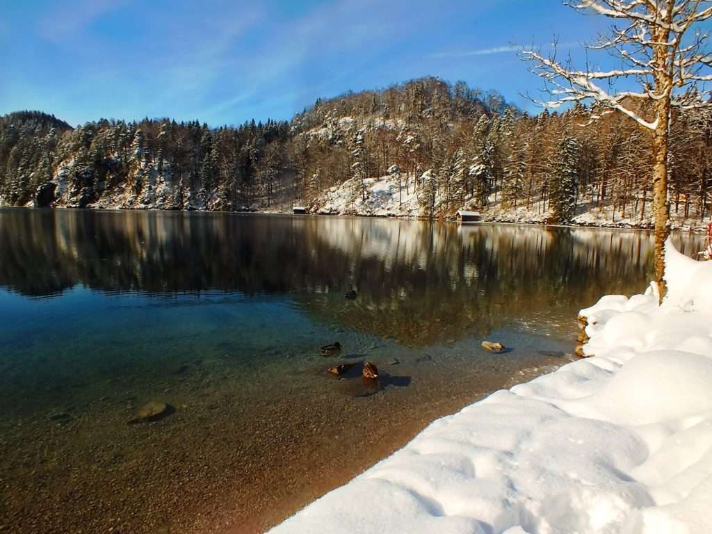 Alpsee