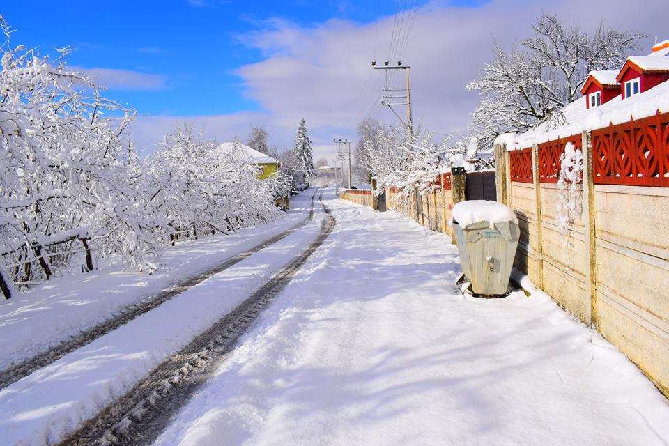 Kestanepınarı Köyü