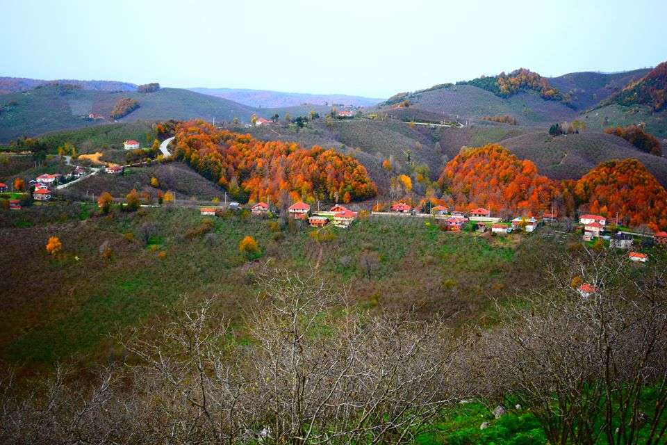 Kestanepınarı Köyü