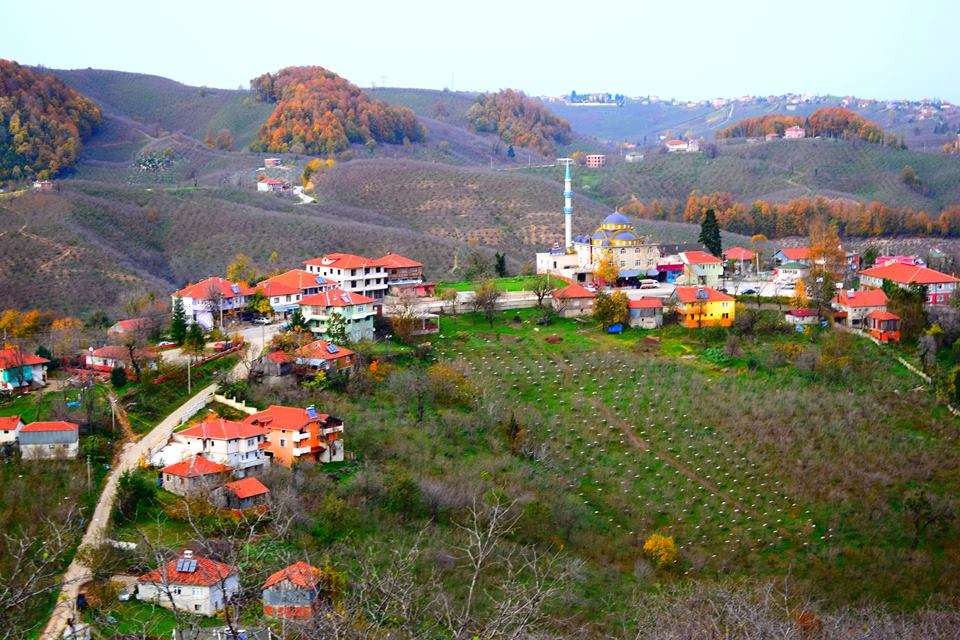 Kestanepınarı Köyü