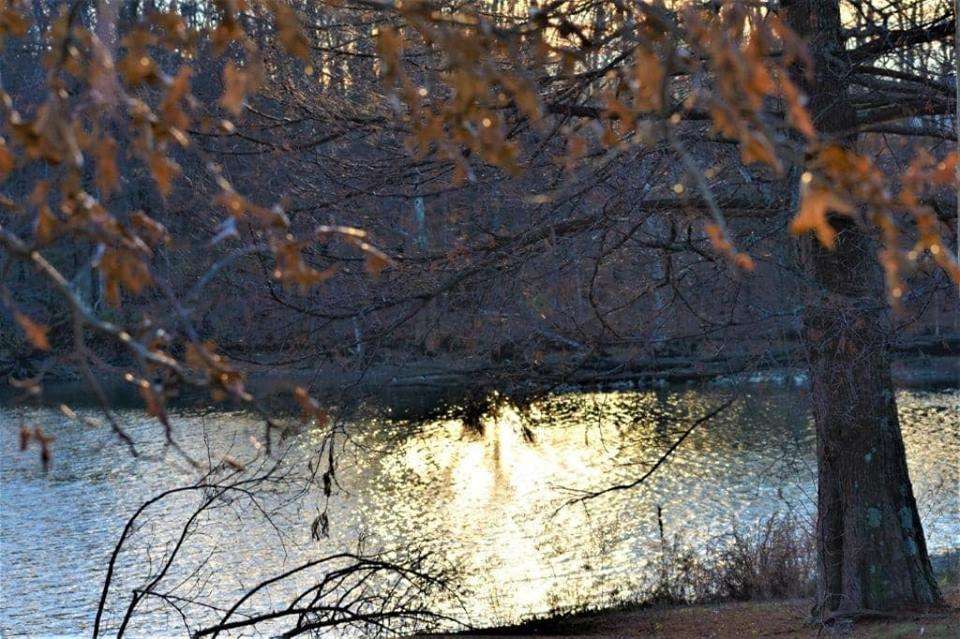 Freeman Lake in Elizabethtown Gezer Döner Gezi Rehberi Sitesi