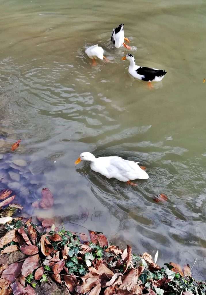 Tokatlı Kanyonu Parkuru