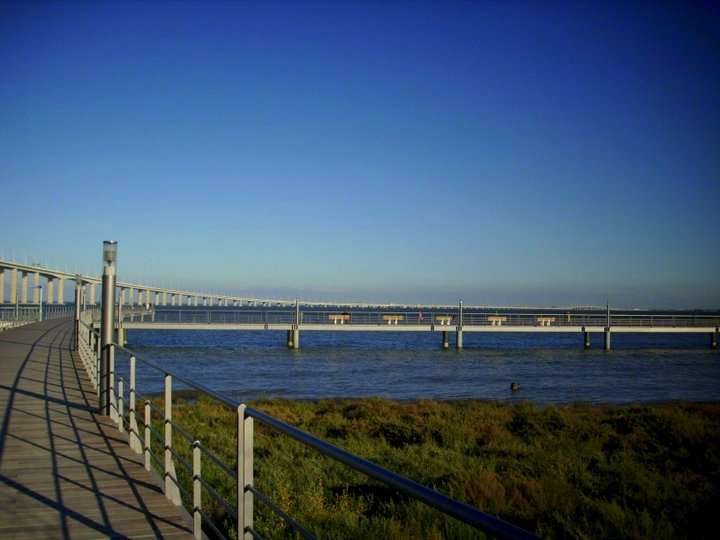 Vasco da Gama Köprüsü (Ponte Vasco da Gama)