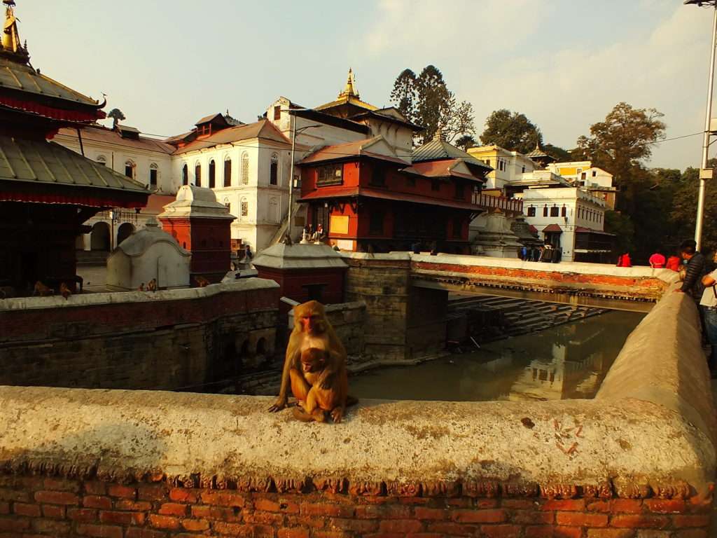 Nepal'de Bulunan Tapınak Çeşitleri
