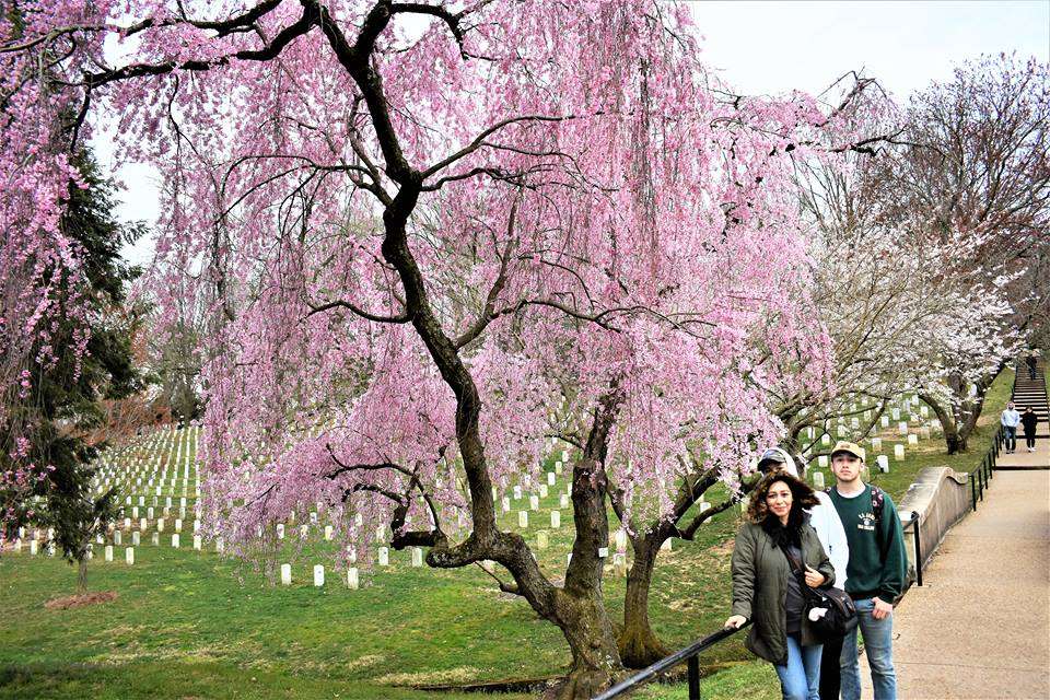 Arlington National Cemetery