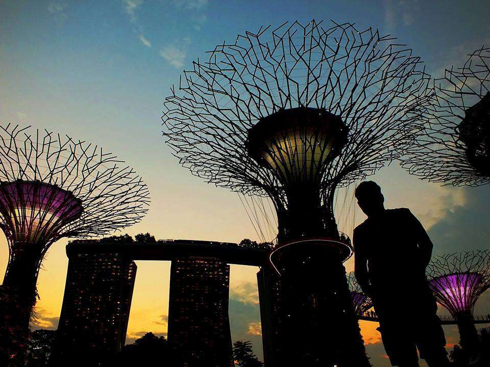 Gardens By The Bay Siluet Çalışması