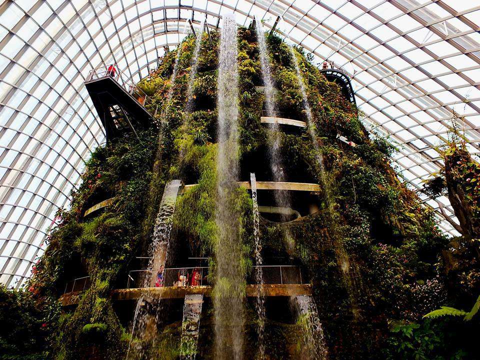 Cloud Forest (Yağmur Ormanı)(Cloud Mountain)