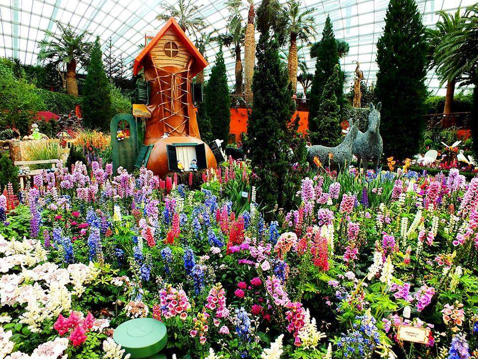 Flower Dome (Çiçek Serası)