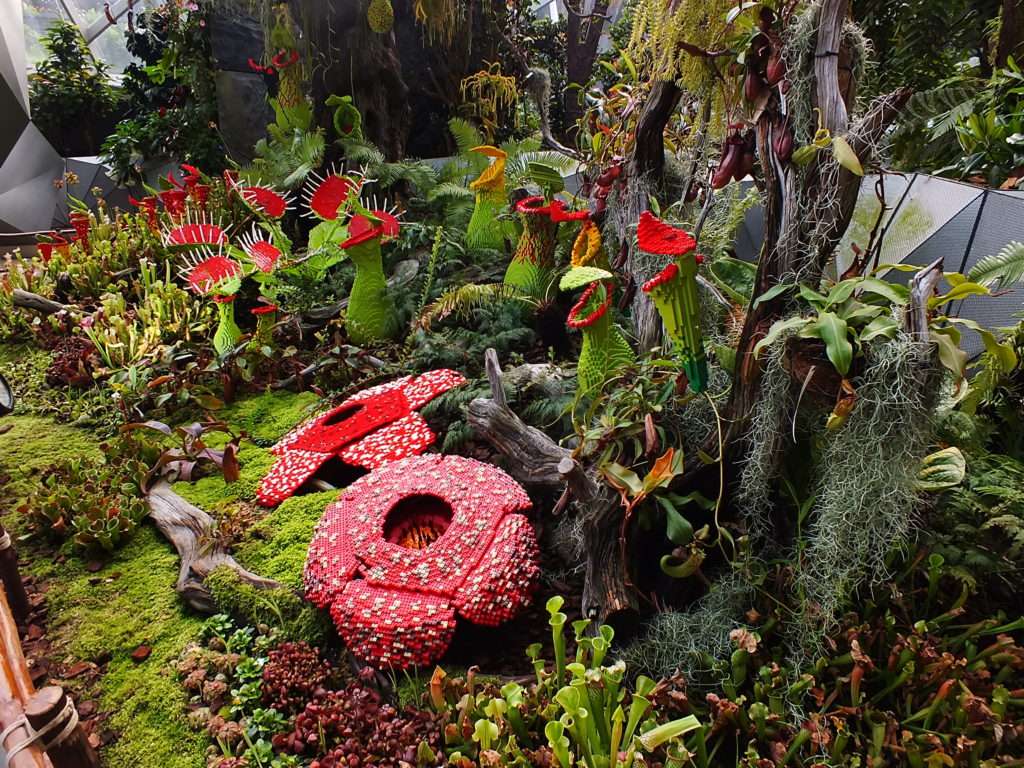 Cloud Forest (Yağmur Ormanı)(Cloud Mountain)